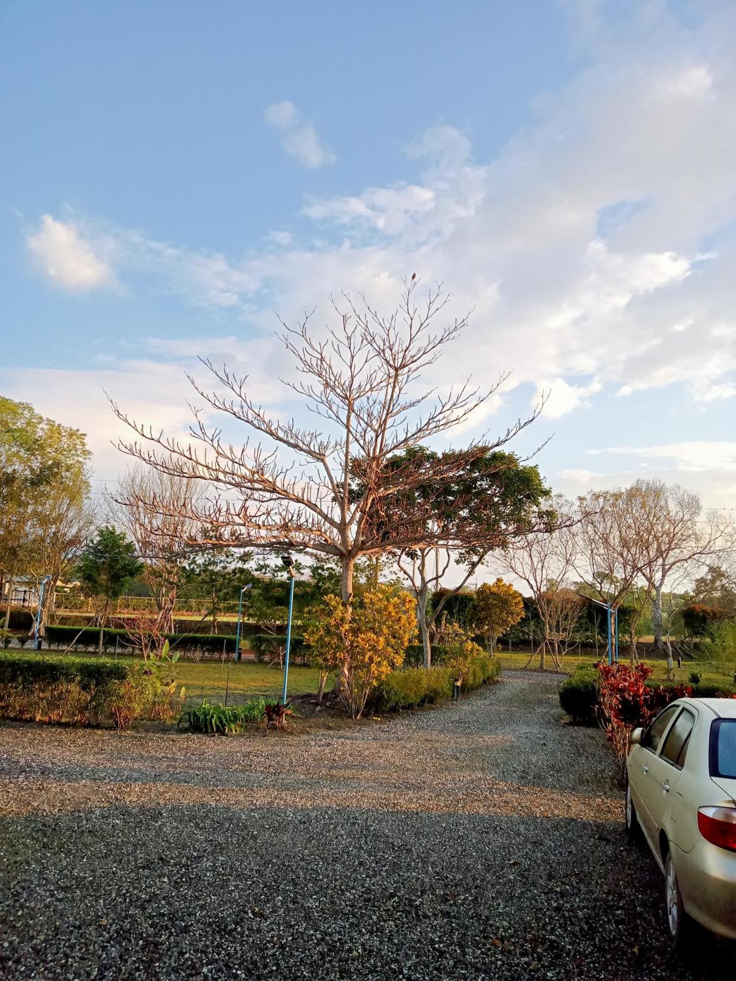 Affittacamere Maple Feeling Vacation Farm Guangfu Esterno foto